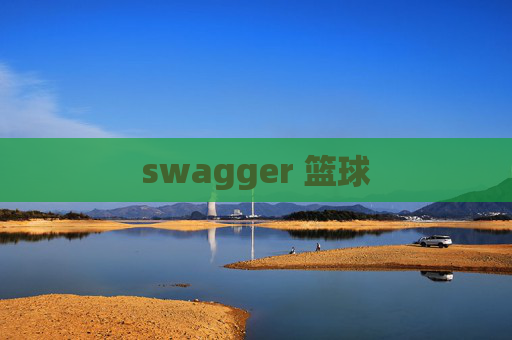 swagger 篮球 swagger 篮球
